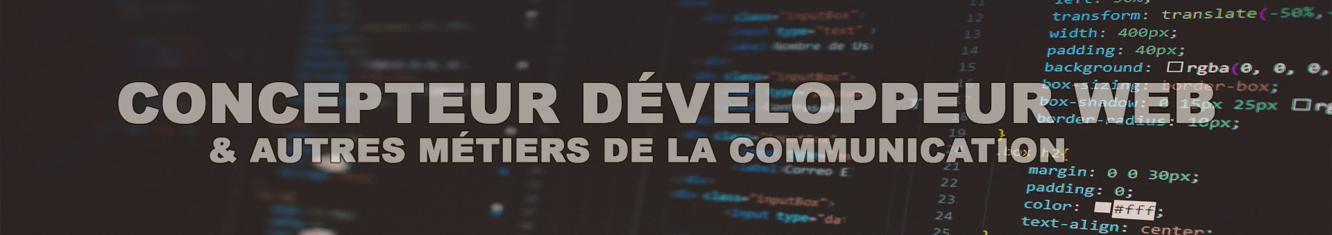 Bandeau de présentation de la page développeur web avec une photo de code informatique