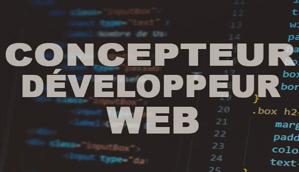 Bandeau de présentation de la page développeur web avec une photo de code informatique
