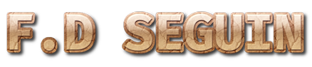 Logo Porte Folio de F.D SEGUIN mobile