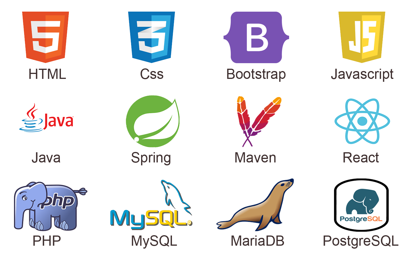 image des langages web que je maitrise