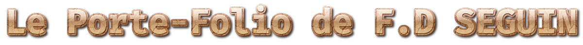 Logo Porte Folio de F.D SEGUIN