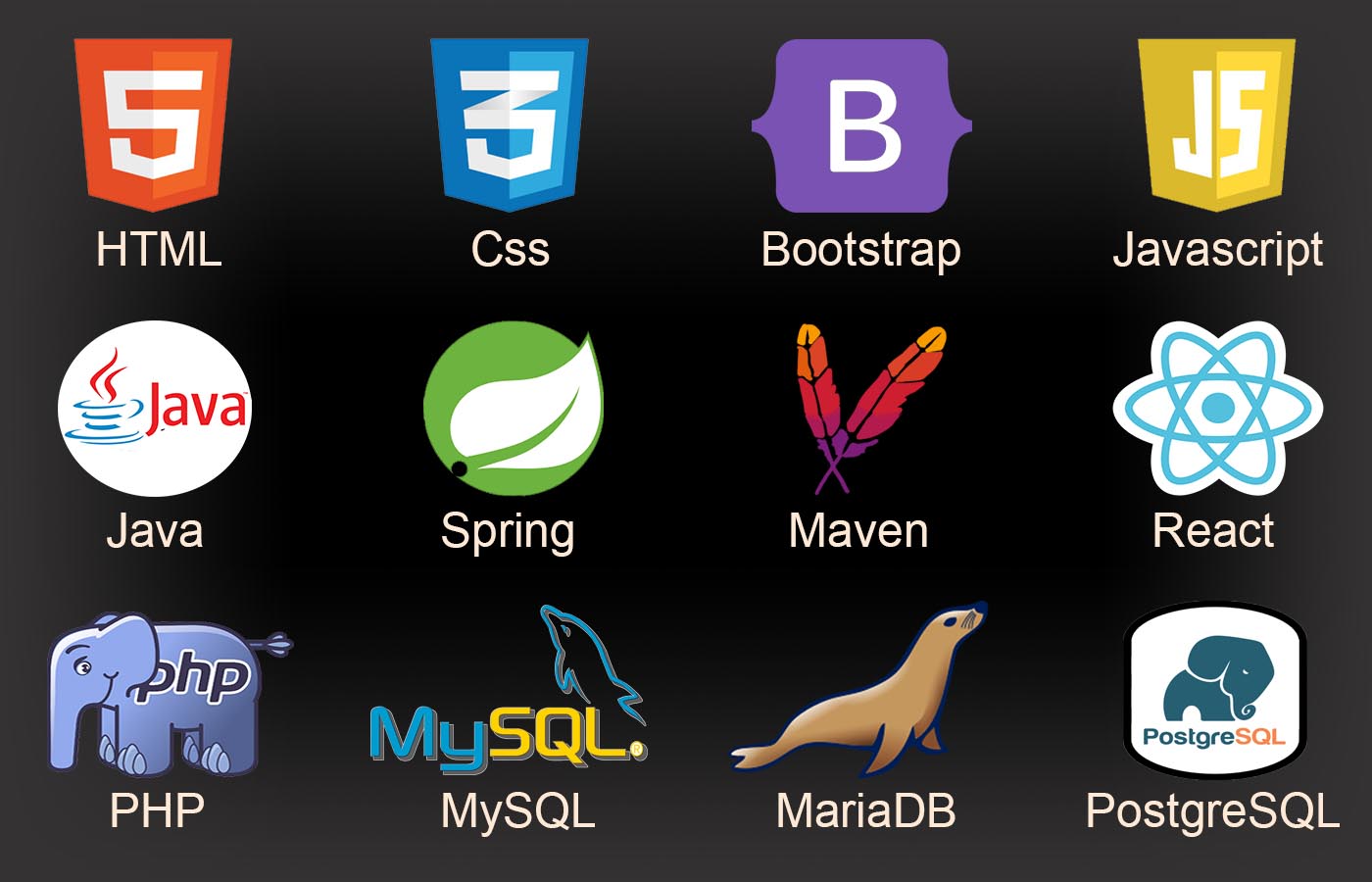 logos des langages de programmation maitrisés